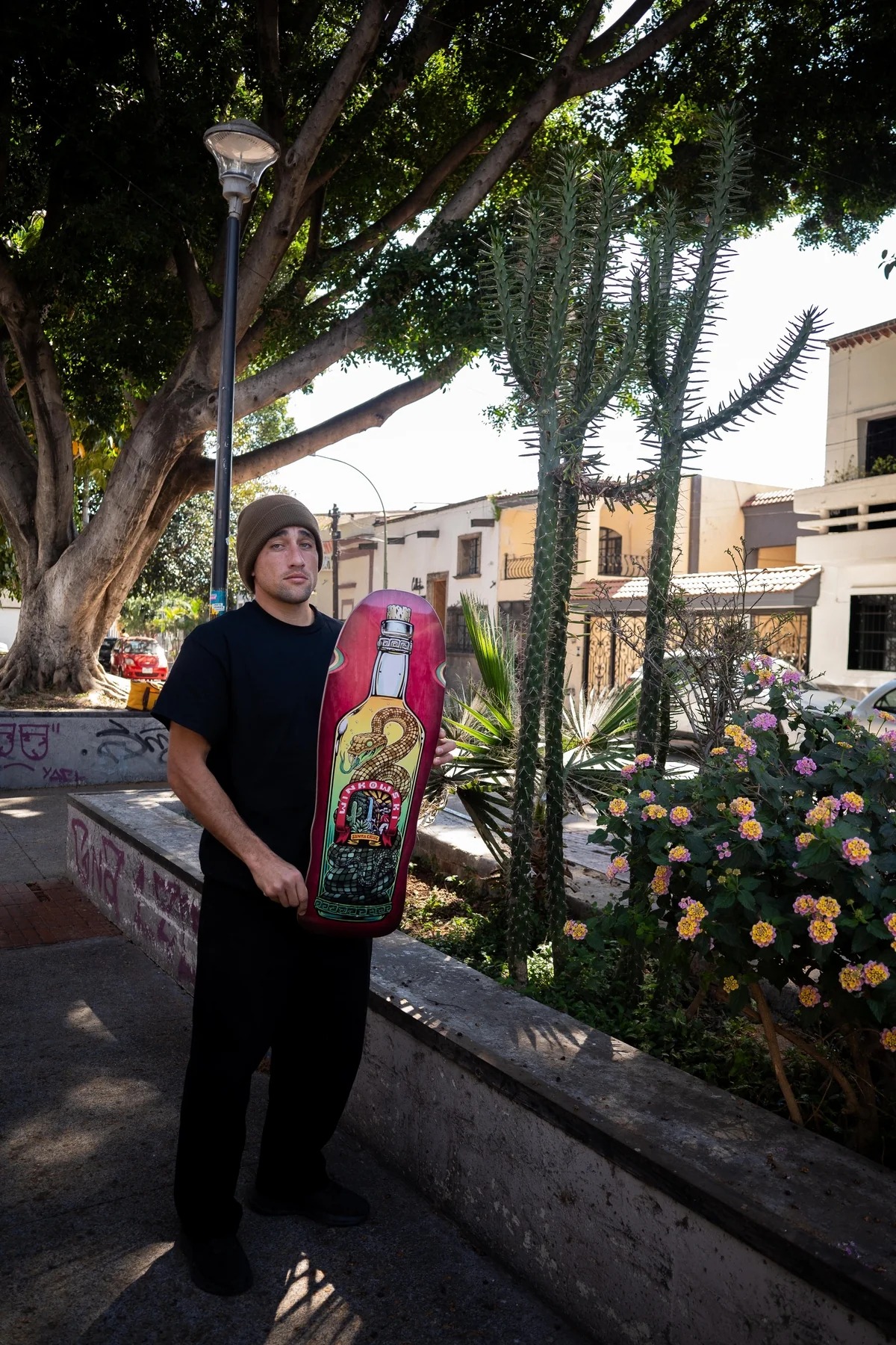 Santa Cruz - Winkowski - Agave Snake - 10.35 - Image 3